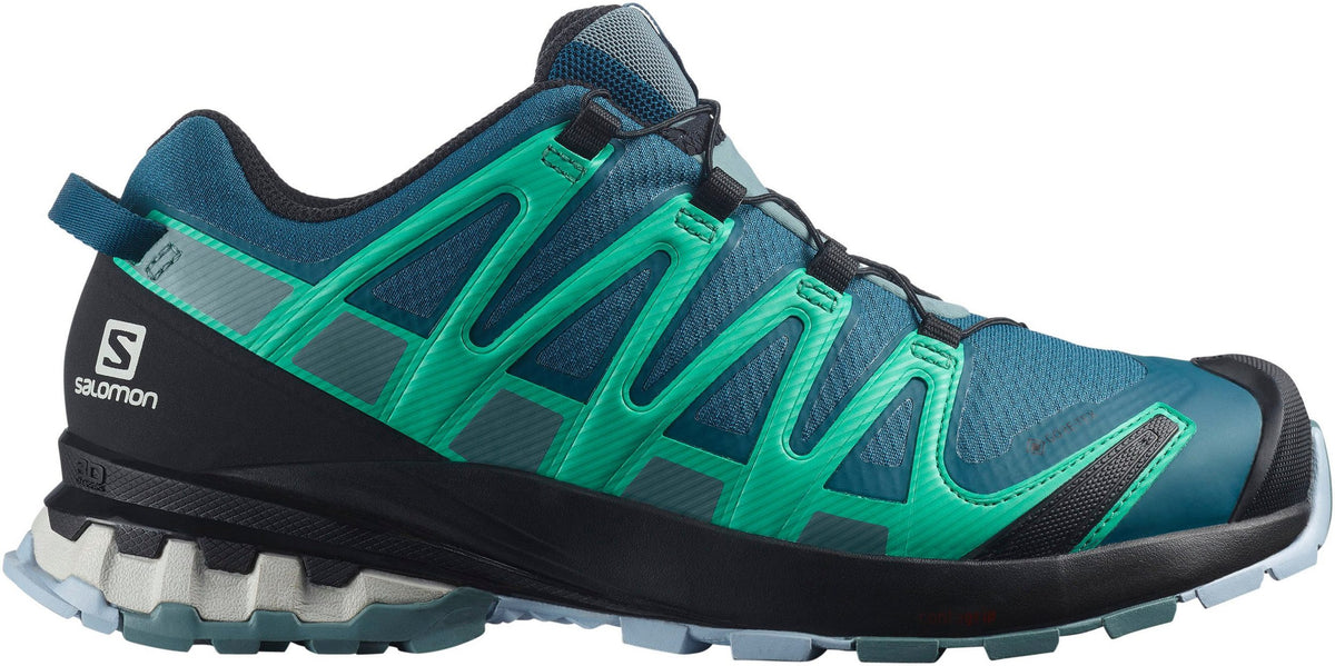 Salomon xa pro gtx 3d cheap
